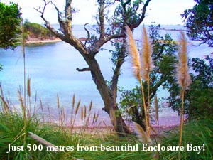 Enclosure Bay Cottage